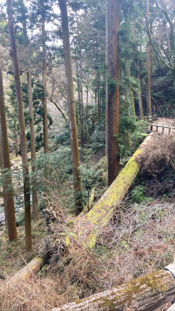 前朝から山登った