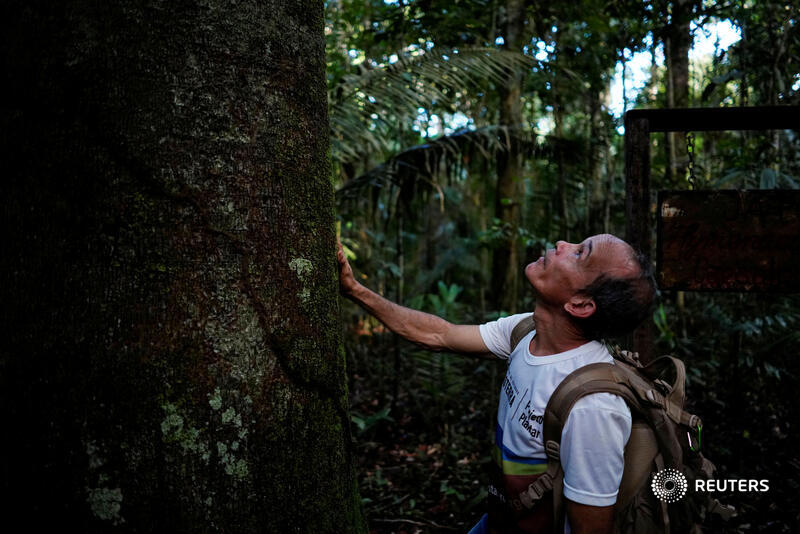 Reuters's tweet photo. 🔊🌴 There’s nowhere on Earth like the Amazon rainforest. But its biodiversity is threatened by human activities, from farming to mining to logging.
Listen to a special edition of the Reuters World News podcast with @kimvinnell and @jakespring for more https://t.co/VEUOVifPlR https://t.co/9n6LY8edbd