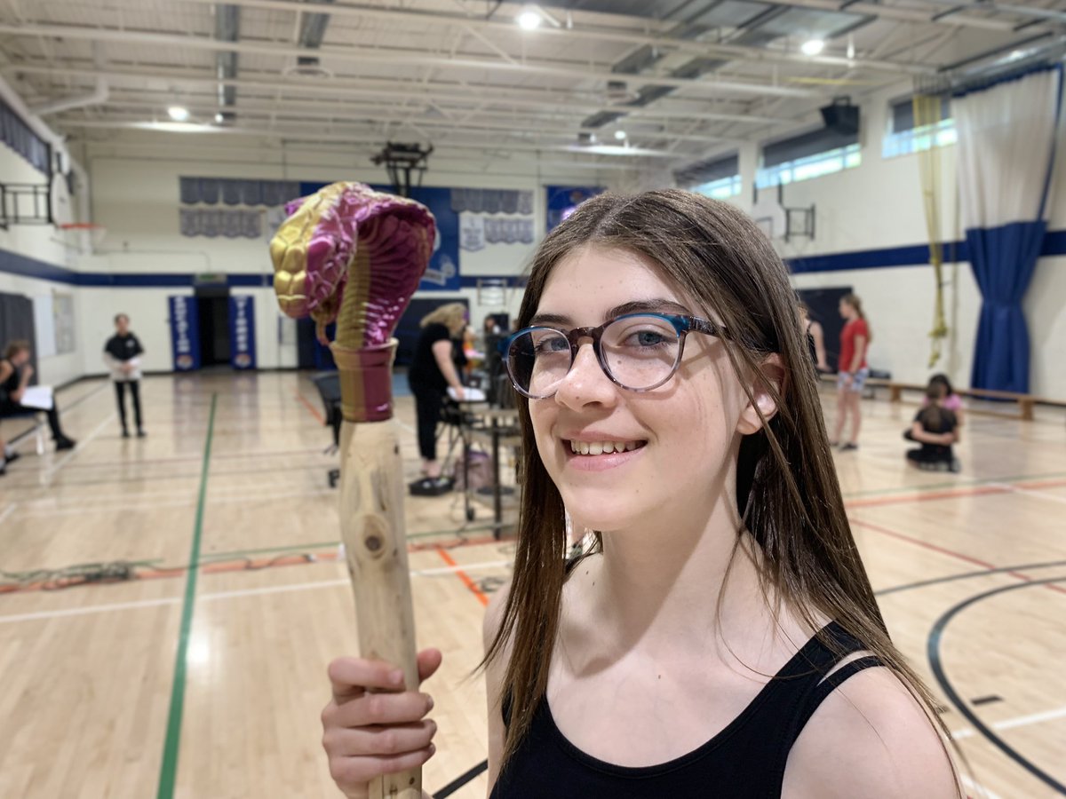 Ecole Viscount Alexander tweet media