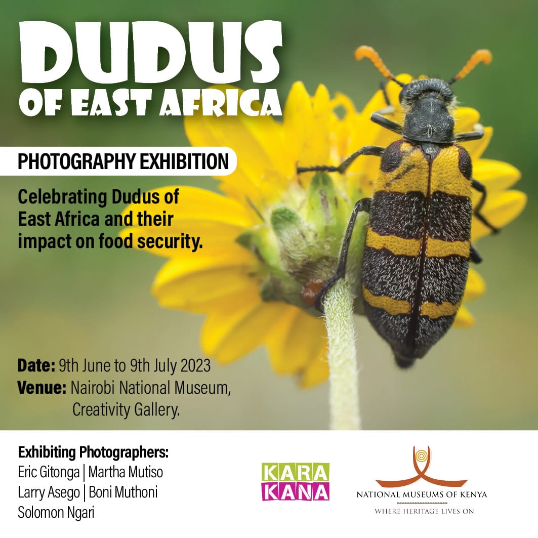 The #DudusofEastAfrica is a photography exhibition that will showcase the insects that have such an important role in our food security. It'll run from 9thJune-9th July, and you can meet the photographers on Sat 10th June <a href="/museumsofkenya/">National Museums of Kenya</a>