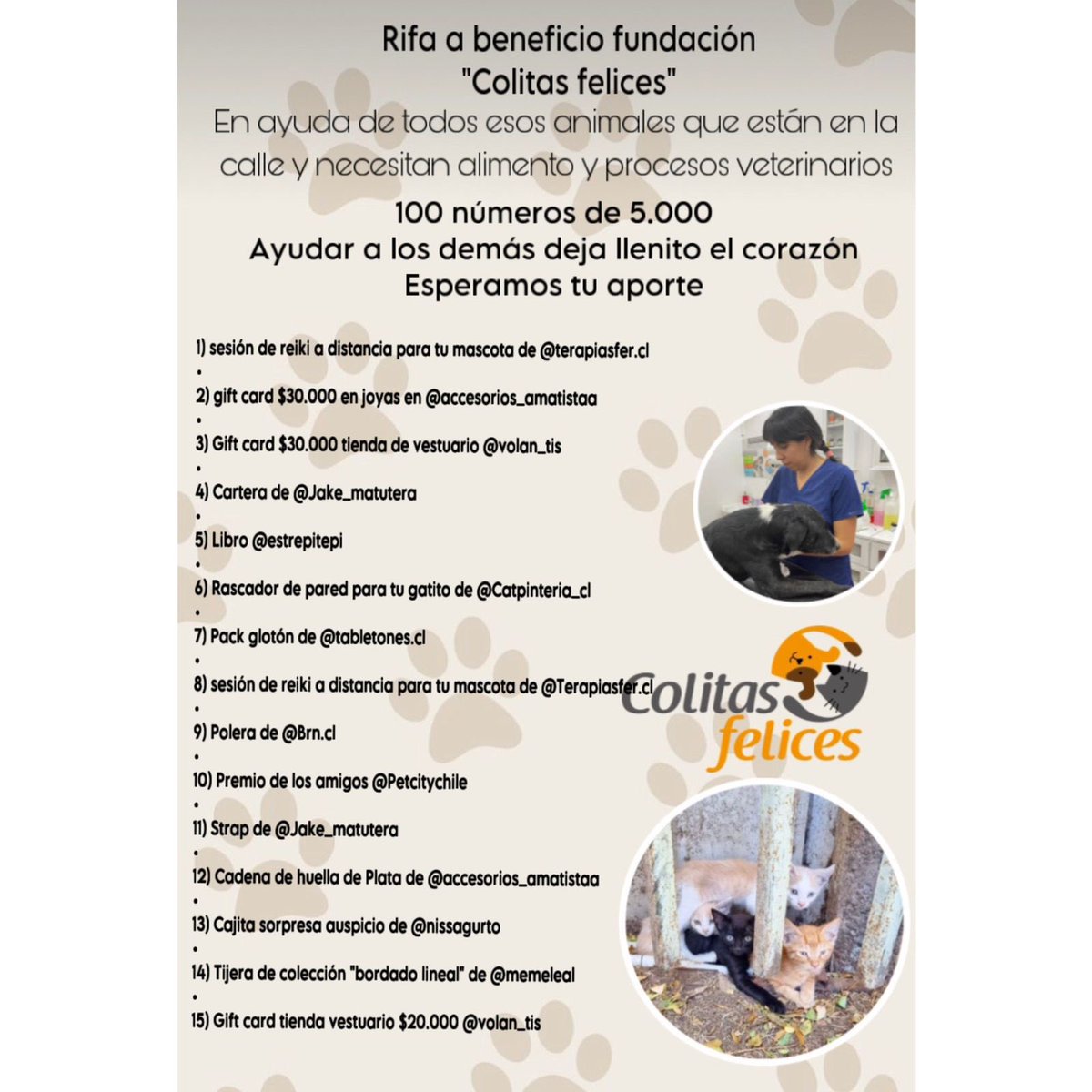 sicoandrea's tweet photo. Me quedan 34 números de rifa cabros, para ayudar a una fundación que ayuda animales en la calle, si no tiene plata puede darle like o RT para llegar a más gente que quiera comprar un número 🙏🏻❤️‍🩹  se lanza el 19 premios de pymes re buenos ! https://t.co/Yr3gj9jVRc