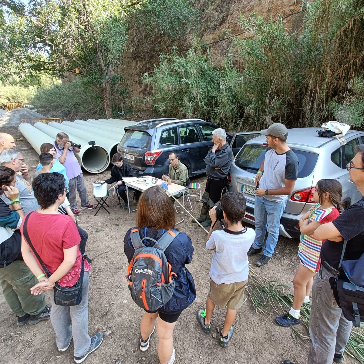 🦆 Imatges de l'anellament científic d'ocells d'avui per la #setmananatura!
Moltes gràcies a totes per venir!
#grupcapreolus <a href="/SetmanaNatura/">Setmana de la Natura</a>  <a href="/CMRO_info/">CMROlesa</a> <a href="/AjuntamentOlesa/">Ajuntament d'Olesa</a>