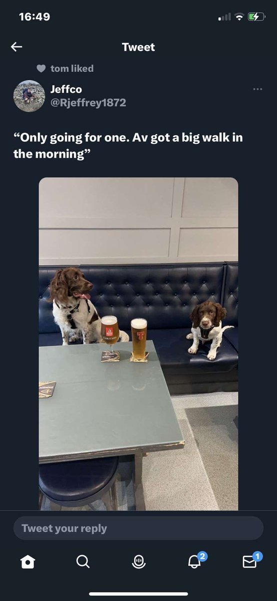 Millie2402's tweet photo. We’ve all said this 😹😹😹 https://t.co/equZNmW0Tc