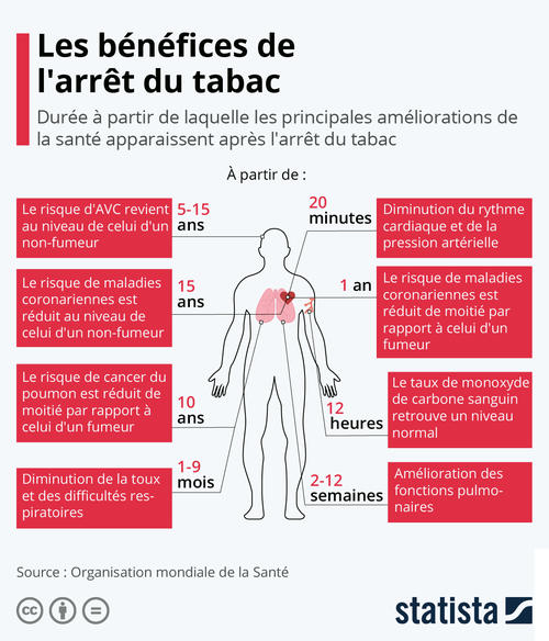 Les bénéfices de l'arrêt du tabac sur le corps limportant.fr/infos-sante/5/… #Santé