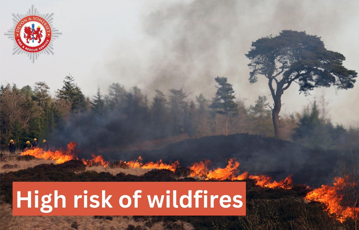DSFireUpdates's tweet photo. We need your help to protect our local communities by following these simple steps ⬇️ 

- Have BBQs and campfires in designated areas.
- Pick up litter - even glass bottles can start a fire.
- Dispose of cigarettes carefully.

Read more on our website: https://t.co/hLw0FRsn8R https://t.co/kJTR5lsvoq