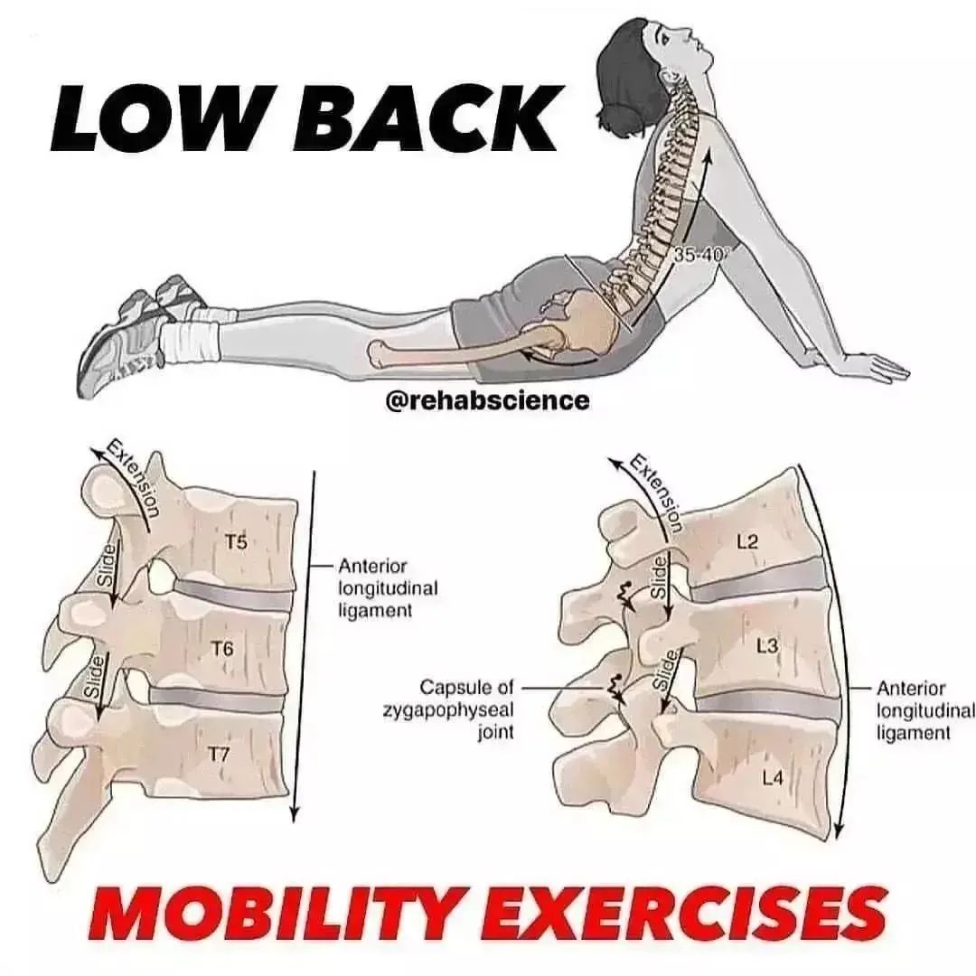 The_Life_Pad's tweet photo. Low Back Pain Open this; https://t.co/qG9Ha0Da3A