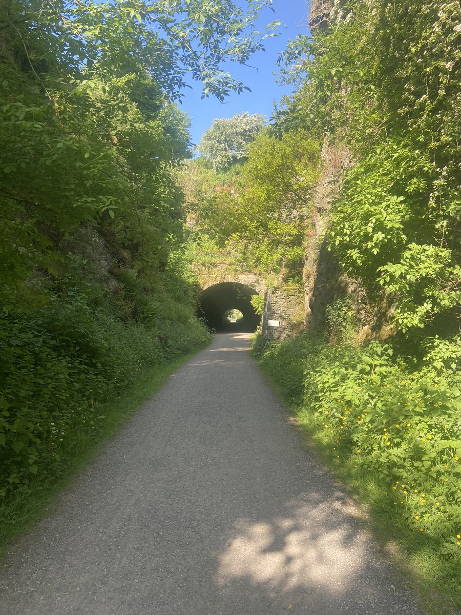 peakrunner47's tweet image. Took a day of unpaid leave today due to anxiety, what a day it was too for a steady walk along the HPT to Harboro rocks,Brassington and Carsington pastures,Samson the Charolais bull was enjoying his morning too 😍😎 #Timeout #sunshinetherapy ☀️