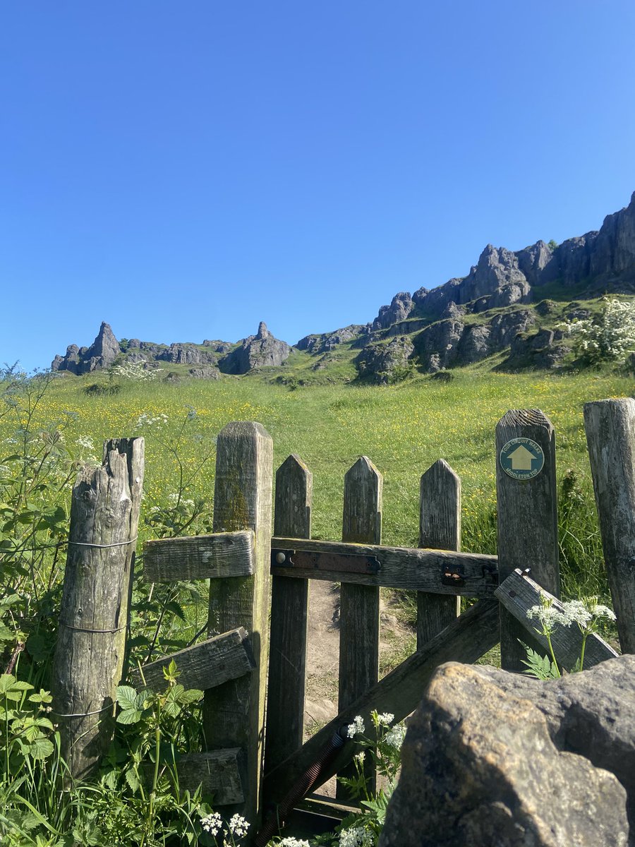 peakrunner47's tweet image. Took a day of unpaid leave today due to anxiety, what a day it was too for a steady walk along the HPT to Harboro rocks,Brassington and Carsington pastures,Samson the Charolais bull was enjoying his morning too 😍😎 #Timeout #sunshinetherapy ☀️