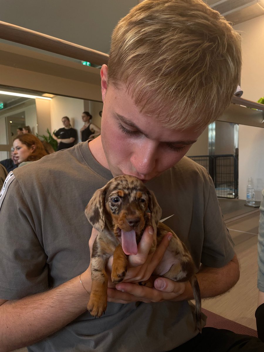 rhysaxyl's tweet photo. long time no see (LOOK AT TBE DOG) https://t.co/P26ZUrcIAl