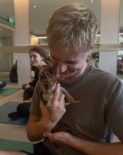 long time no see (LOOK AT TBE DOG)