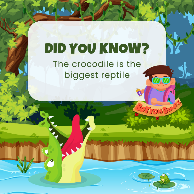 bumps_bottom's tweet photo. We wouldn't want to be stuck with one!🐊

#BottomBumps #EddieAndTheBumps #Crocodile #Fact #Rhyming #FactsforKids #InterestingFact #MobileGame🌊 https://t.co/CGLRq8KKEf