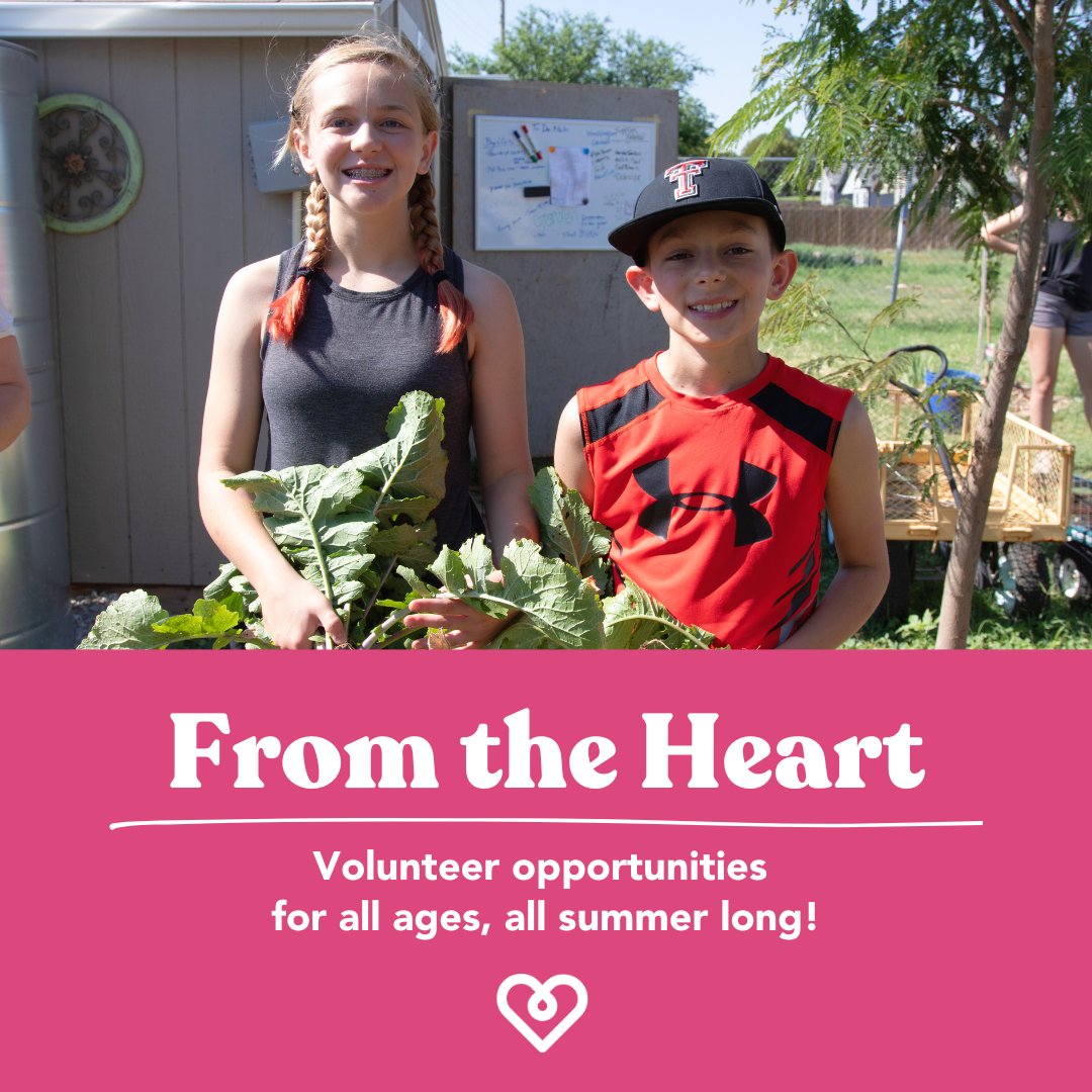 Volunteer Lubbock tweet media