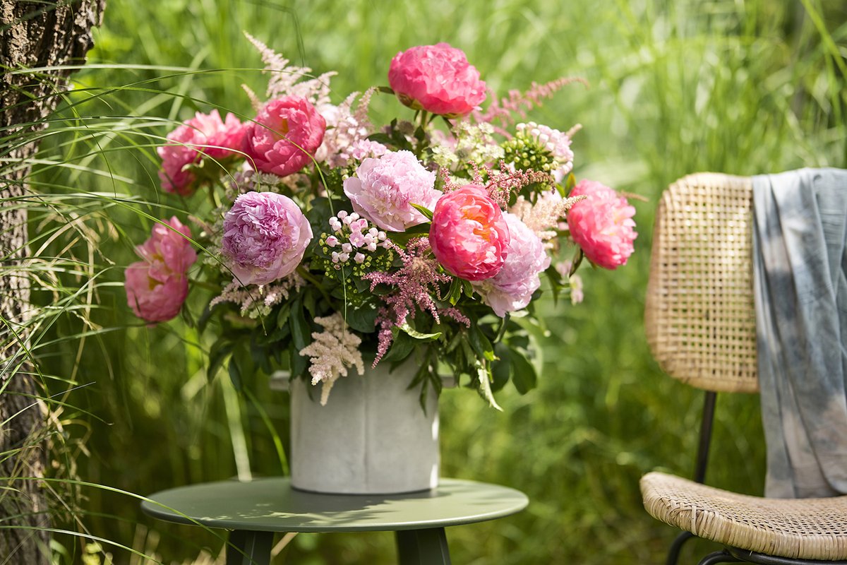 Chrysal Benelux tweet media