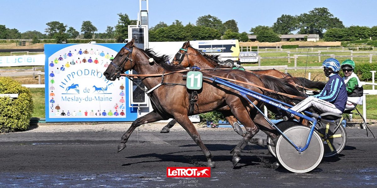 📜 𝟰𝟴𝗵 𝗮𝘂 𝗧𝗿𝗼𝘁 - 𝗟𝗲𝘀 𝗖𝗼𝘂𝗿𝘀𝗲𝘀 𝗮𝘂𝘅 𝗘𝗻𝗰𝗵𝗲̀𝗿𝗲𝘀 
🏆 Prix du Groupe Romet

🥇 Gybor Well
🥈 Hartford
🥉 Heros Nuevo

🤝 L'ensemble des chevaux seront à vendre aux enchères après les courses, en partenariat avec Arqana Trot