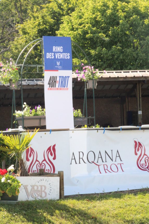 Courses hippiques Anjou-Maine Centre-Ouest tweet media