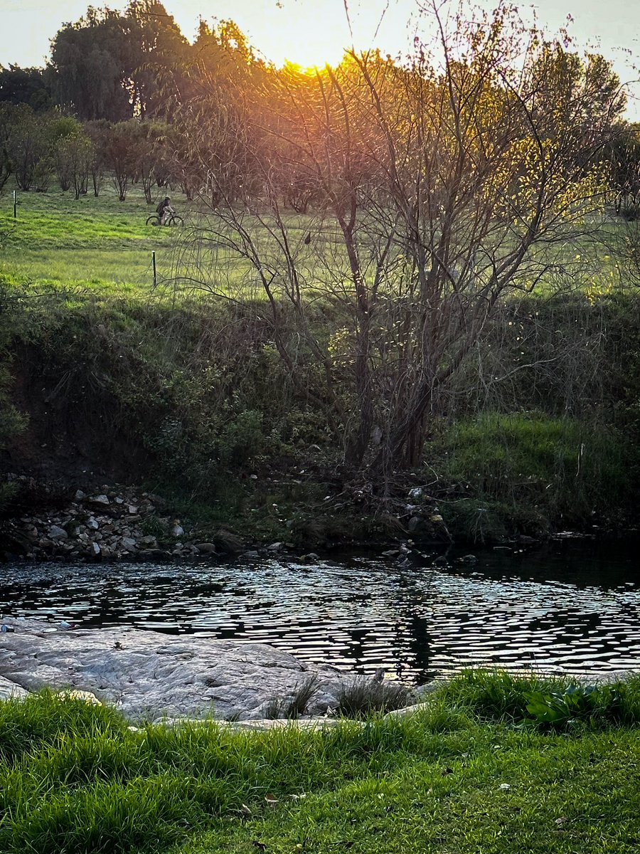 UlrichJvV's tweet photo. I love a Johannesburg sunset! 😍🌅🌲 https://t.co/DO66Ea1Ea6