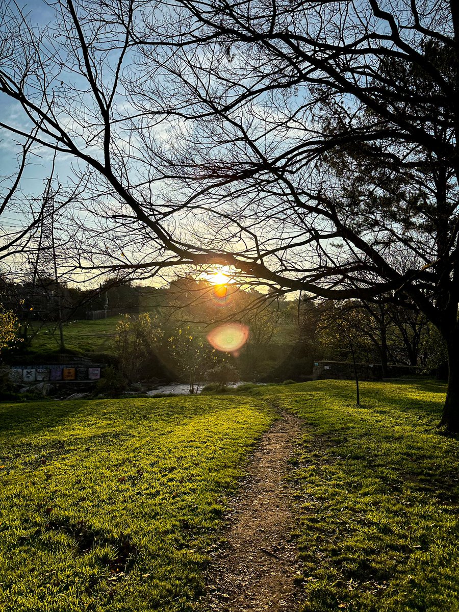 UlrichJvV's tweet photo. I love a Johannesburg sunset! 😍🌅🌲 https://t.co/DO66Ea1Ea6