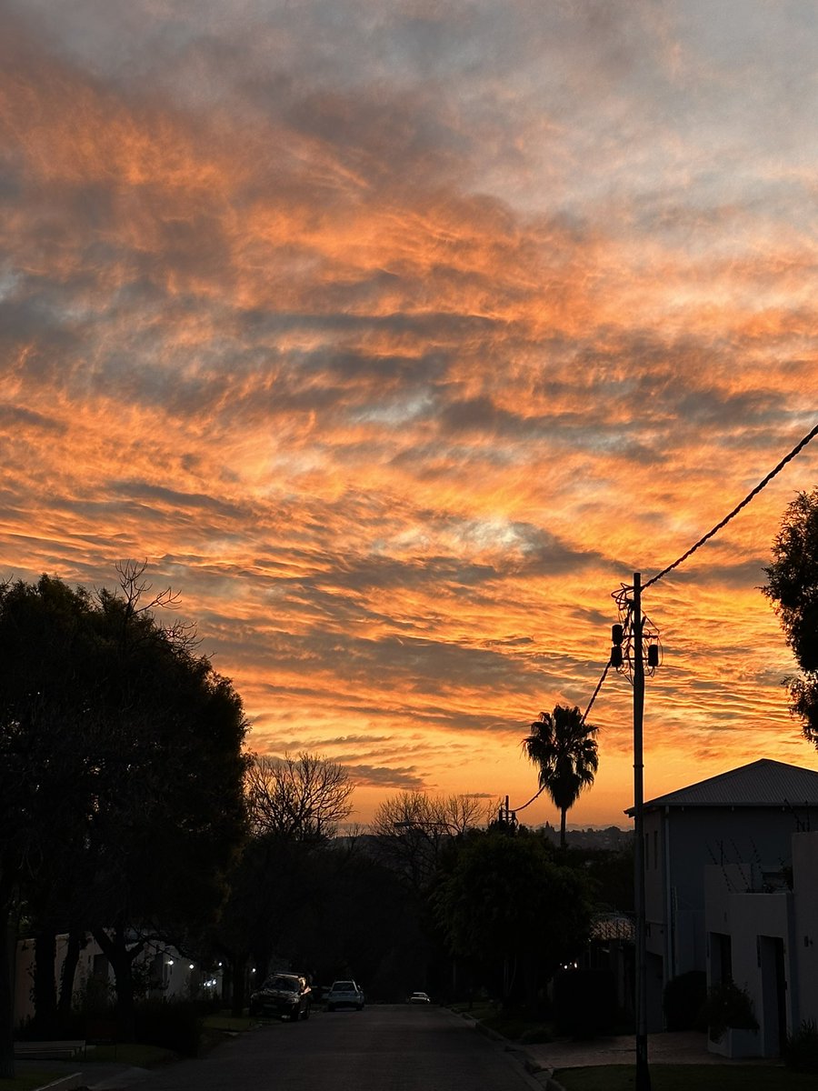 UlrichJvV's tweet photo. I love a Johannesburg sunset! 😍🌅🌲 https://t.co/DO66Ea1Ea6