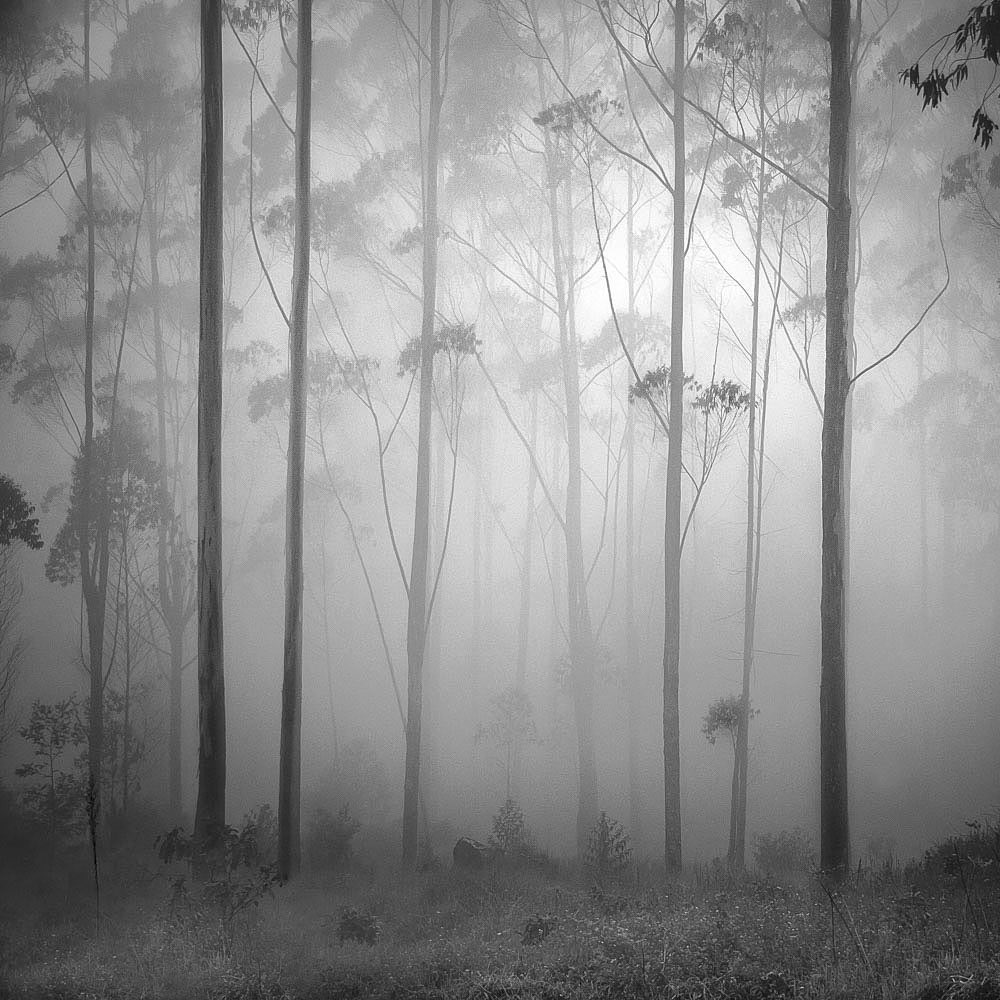 hengki24's tweet photo. © 2023
➤ Highland https://t.co/PzA5oOh8Kc