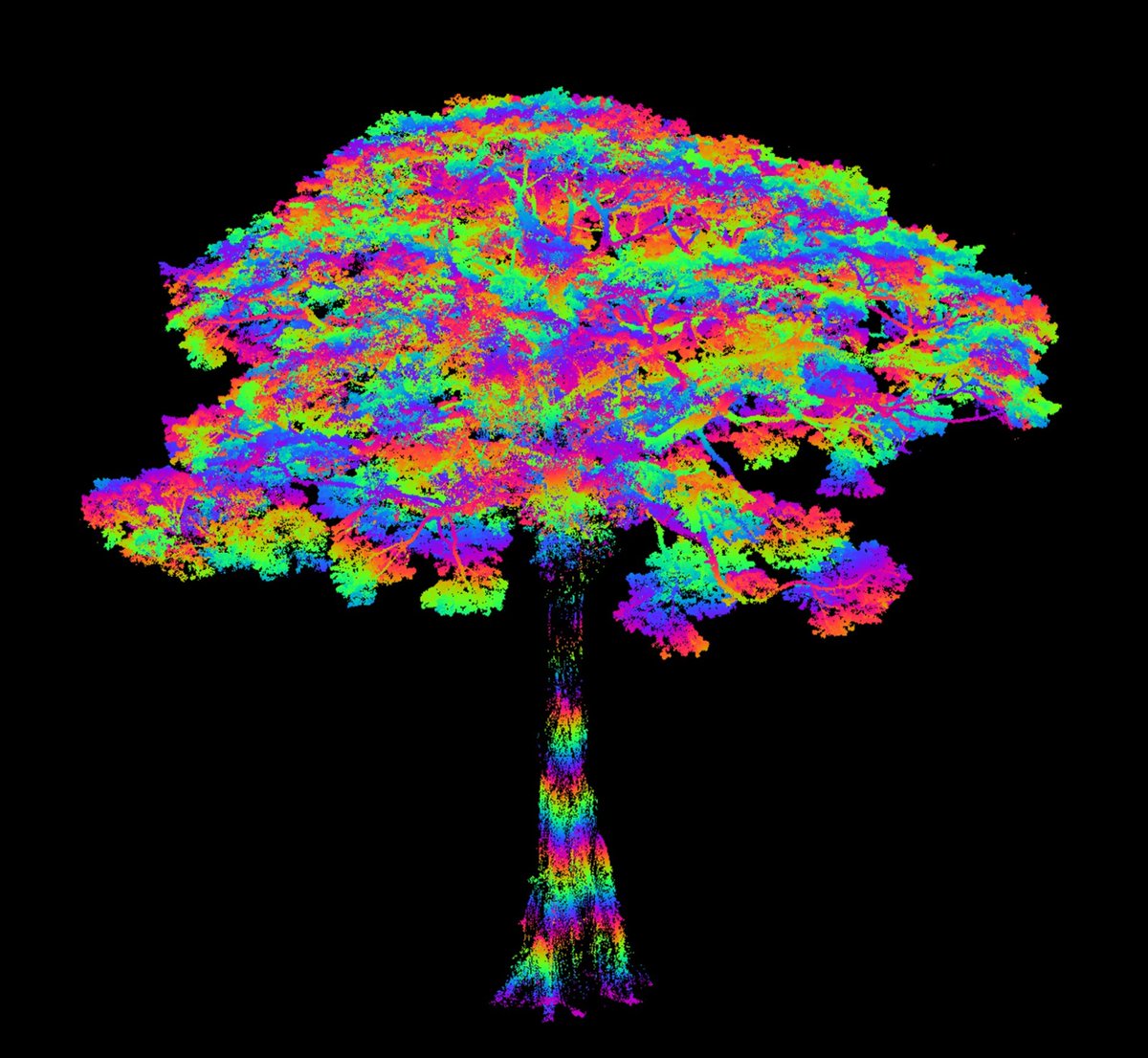 Beisit Luz Puma Vilca tweet media