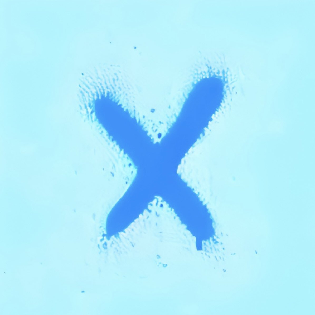 #NewProfilePic going with the twitter blue $X 😏

What do you think?