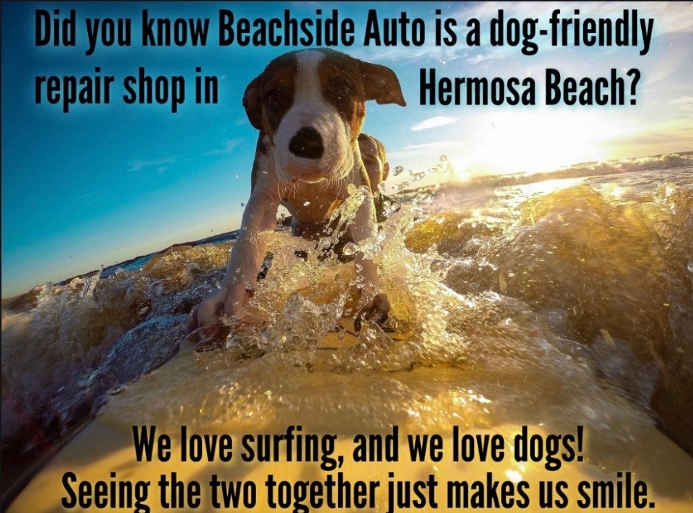 beachside_hb's tweet photo. We hope you enjoy your
 ✨️weekend ✨️
with your furry best friend! 🌊🌞🐕
Come on in or call Beachside Auto in Hermosa Beach on Monday and we will get you safely back on the road so you and your pooch can enjoy more adventures together. 
📞310-372-3992 
.
.
.
#bestautorepair https://t.co/S6UUQYhjX3