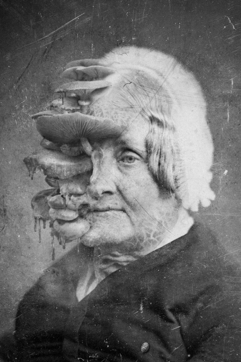Valdevia_Art's tweet photo. Photograph of Élisabeth Jourdain, one of the sole survivors of the 1806 Mycelium infections, taken ca. 1855.
Élisabeth was fifteen when she was infected. Luckily, the disease reached equilibrium in her system. She survived, but it became a lifelong chronic condition. https://t.co/ElJGKf3lVh