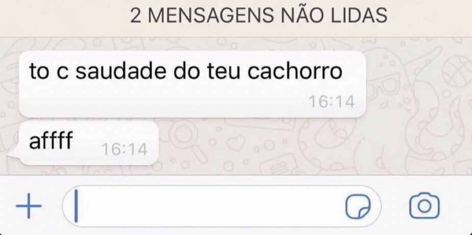 oficiaIdz7's tweet photo. É saudade do cachorro sim kkkkkk https://t.co/zPuuQAIHRa