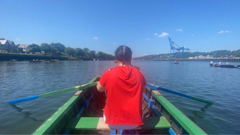 Michelle Curtin tweet media