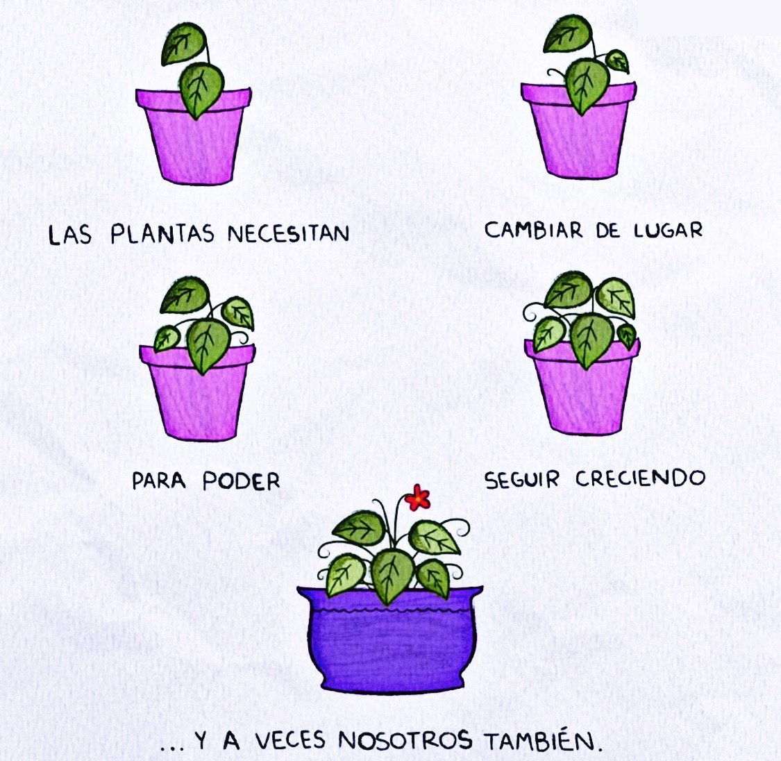 STORY CALIENTE tweet media