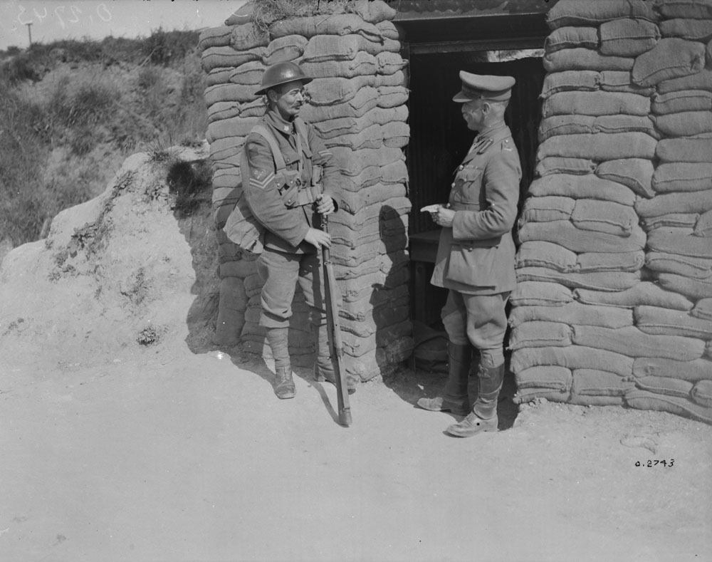 Wildraar 🦊🐯🐵 on Twitter: 