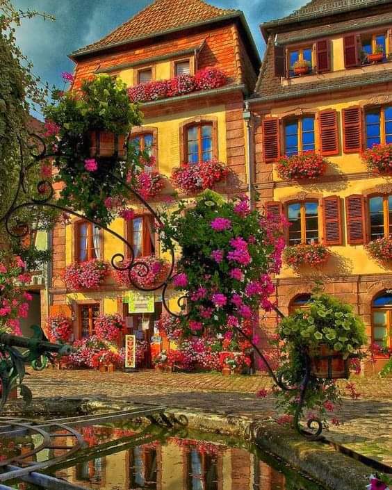 Bergheim Alsace France