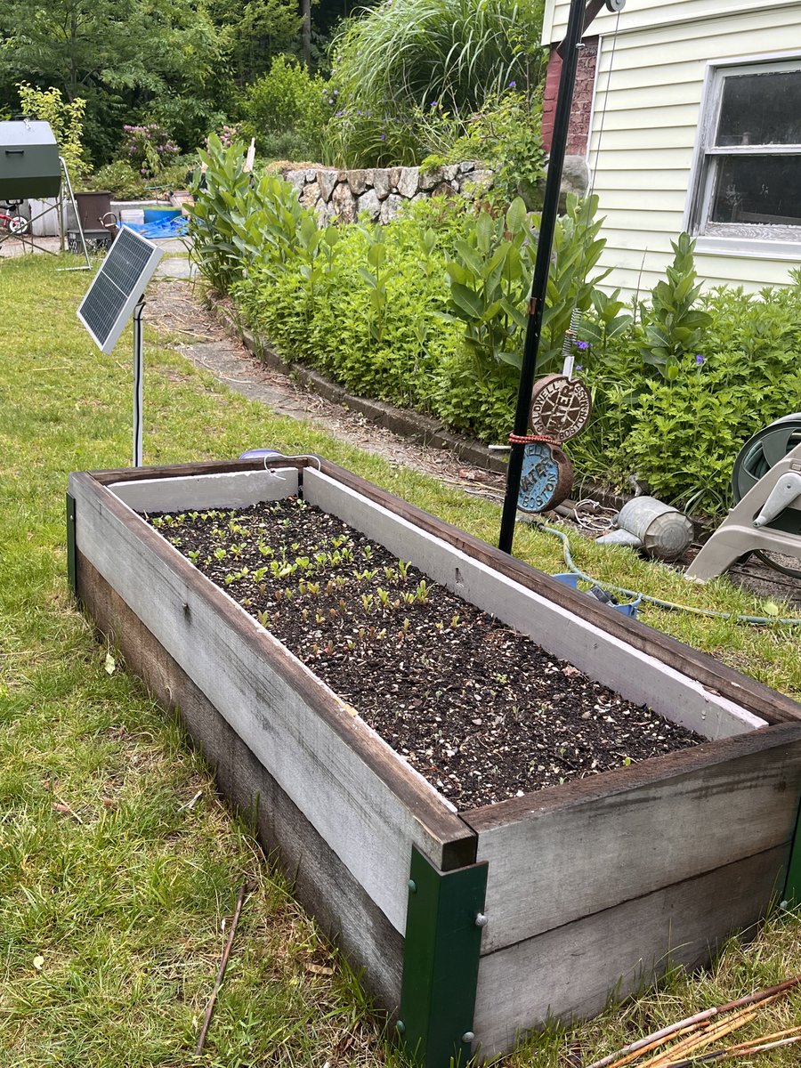 A raised be with a greenhouse lid (removed for the summer) made from a discarded sliding glass door. Note the two fans on the back, which cool the air inside during shoulder seasons when it can get too hot inside. Powered by a solar panel, battery, controller and thermostat