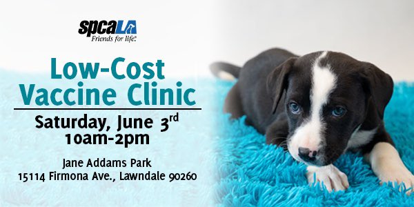 GAYLE ON THE GO! 🚙

Low-Cost Vaccine & Microchip Clinic
spcala
10am-2pm
Jane Addams Park  
15114 Firmona Avenue
Lawndale
spcaLA.com/event
 
The vaccination menu at Jane Addams Park in Lawndale includes everything plus flea treatments, microchips and more.