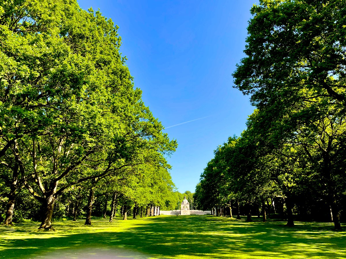 Eugenie Brooks 🇺🇦 🇬🇧 tweet media