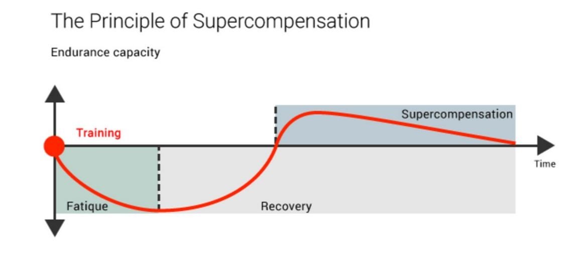 Why do we need a rest day in esports?

Are you getting enough rest?

Many gamers practice &amp; play 5-6 days a week with a pro schedule.

Then comes around that coveted day-off &amp; I ask "how was it? what did you do?" --> "Oh, I just played".