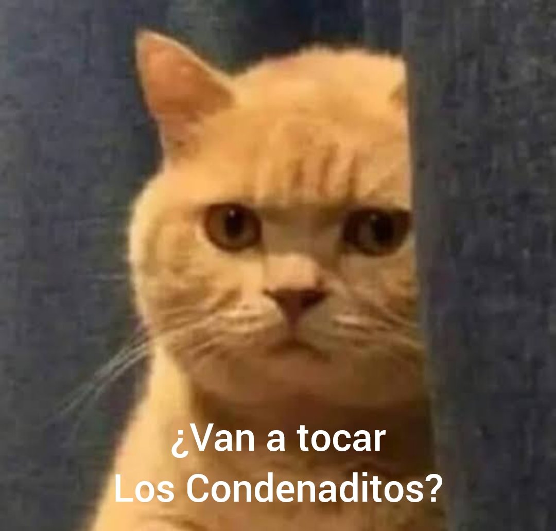 shesnitrogen's tweet photo. Cheimbau:

¿Si les traigo a Los Fabulosos Cadillacs sí votan por mí?

Yo: https://t.co/5YcQqIexWg