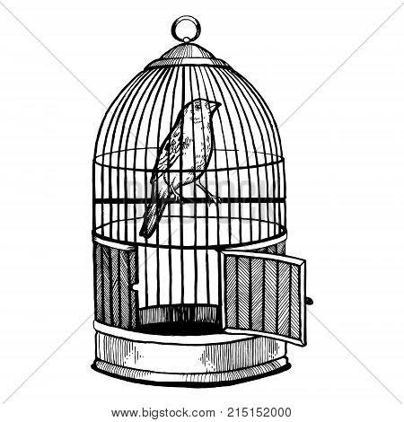یارِ من tweet media