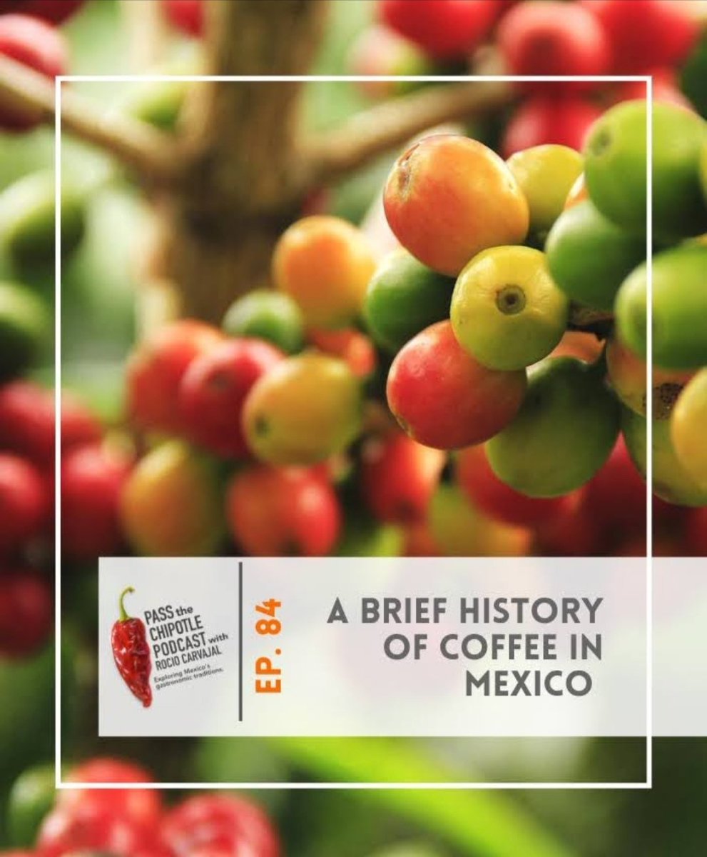 Out now! A brief history of coffee in Mexico ☕ Ep. 84
Presented by: <a href="/rocio_carvajalc/">Rocio Carvajal</a> Food anthropologist. 
 Grab a large cup and press play!
🎧 subscribe, rate and share  #passthechipotlepodcast   
#mexico
#CoffeeTime
#cafemexicano
podcasts.apple.com/us/podcast/a-b…
