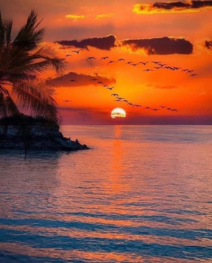 Good evening 💫