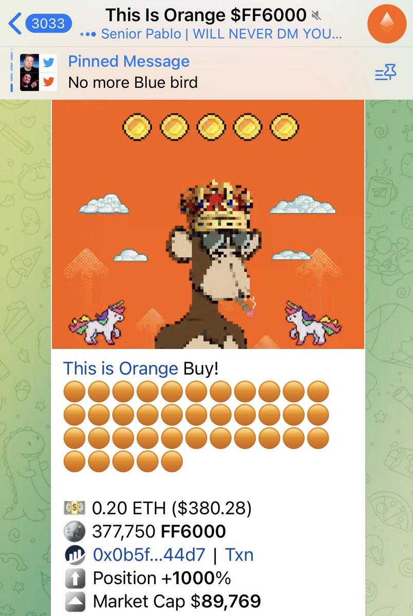 Terps_Crypto's tweet photo. @eth_ben ORANGE BABY! 🟧🟧🟧🟧🍊🍊🍊🍊

#ORANGE $FF6000

https://t.co/1BU129U9zD https://t.co/qDlYu53DrQ