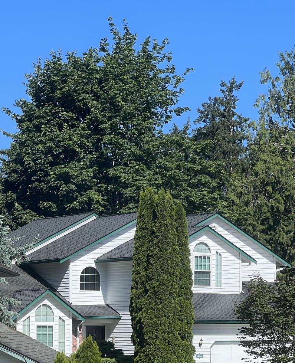 eak's tweet image. Learning cropping