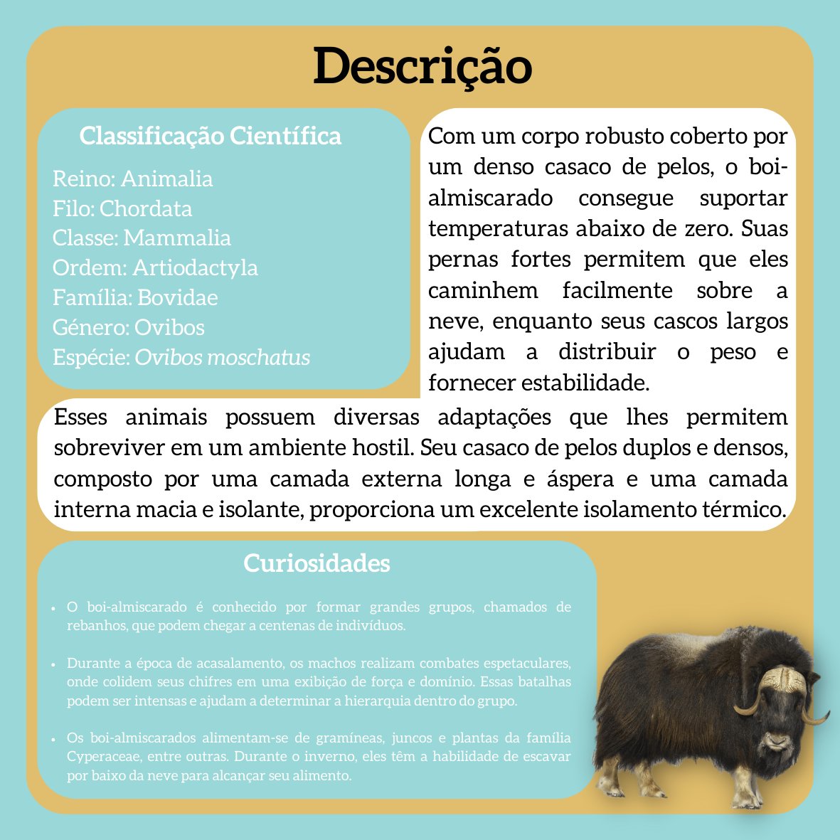 biodex_l's tweet photo. Boi-Almiscarado (Ovibos moschatus)

◾ No universo Pokémon, este organismo seria do tipo: Gelo ⚪| Terra 🟤

#biologia #natureza #ciencia #bio #meioambiente #ecologia #biodiversidade #zoologia #botanica #animais #biologo #pokemon #anime #ovibosmoschatus https://t.co/Hf1irtgsOL
