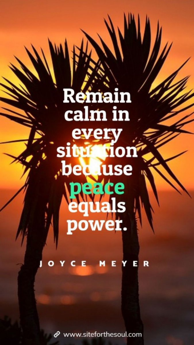 rocketfasttf's tweet image. 