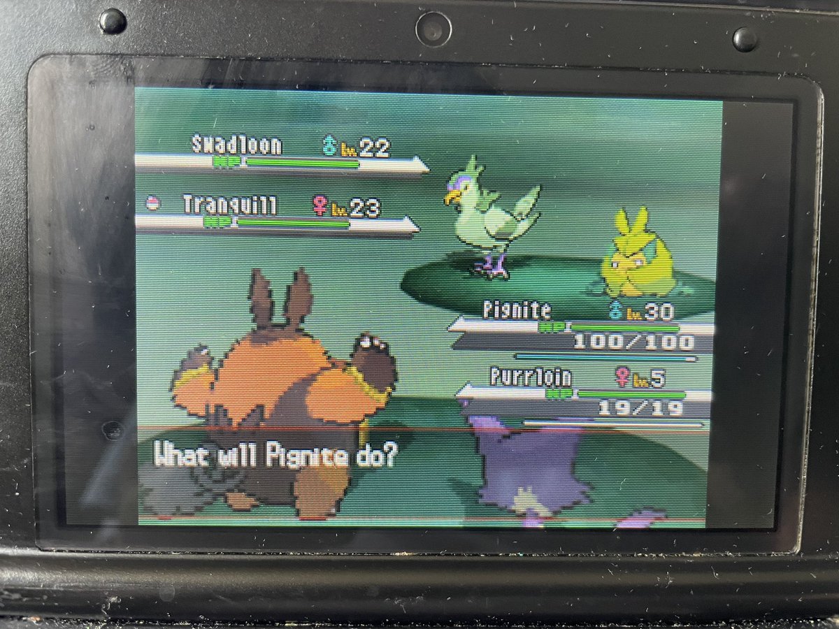 GlassTheDragon's tweet photo. Shiny Tranquil | 4058 REs https://t.co/GgizqG8e0K