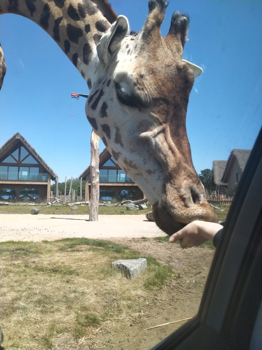 Hannah Boneham (she/her) tweet media