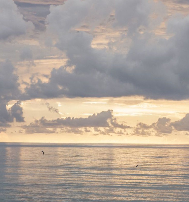 Curated Pieces tweet media