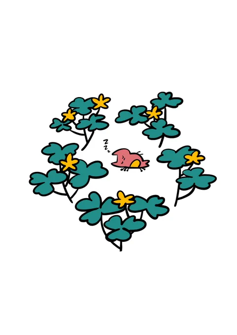 カタバミ