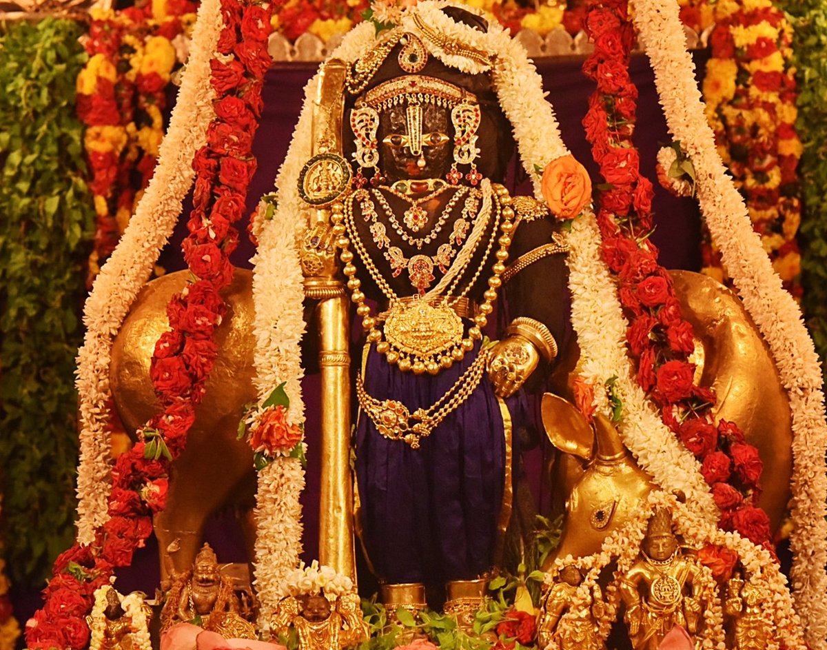 SriKrishnaUdupi's tweet photo. KRISHNAPURA PARYAYA 03 June 2023 
ಉಡುಪಿ ಶ್ರೀ ಕೃಷ್ಣ ದೇವರಿಗೆ ಗೋಪಾಲಕೃಷ್ಣ ಅಲಂಕಾರ.
GopalaKrishna Alankara.
Alankara &amp; Maha Pooja By Shri VidyaSagara Theertha Swamiji, Sri Krishnapura Matha(PARYAYA MATHA).
Follow us @ https://t.co/tz0XLx5mXf
For Online Seva:
https://t.co/x1wq6LiQQR https://t.co/Rvr8U5rA0L