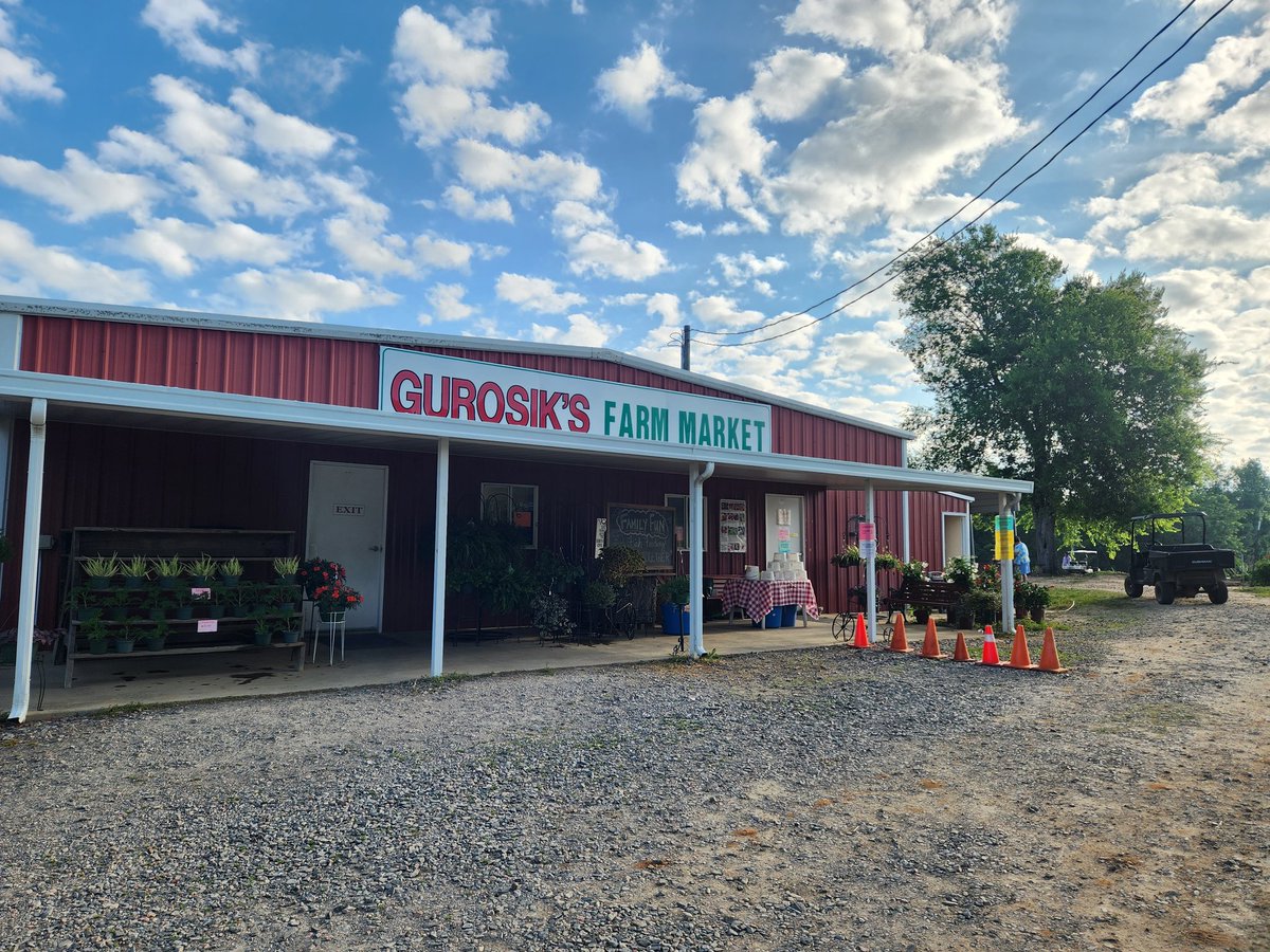 mrslenon1516's tweet photo. Today's venture was to Gurosik's Plantation Berry Farm.  They have strawberries,  fruit,  veggies and flowers.  Support local businesses.  @Aiken_T_College @AikenPublicSch @MidlandValleyHS https://t.co/VVVOlO16Vb